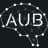 aubmindlab provider