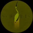scribis