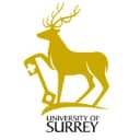 surrey-nlp