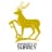 surrey-nlp provider