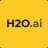 h2oai provider