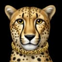 mahdi02ch