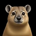 skaterjdub