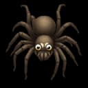 tarantula11