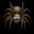 tarantula11