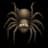 tarantula11
