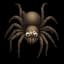 tarantula11