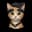 shynetx