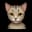 MewSocial