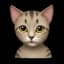 MewSocial