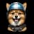 vgopidas provider