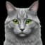 meadowlarque