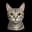meowm30w