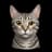 meowm30w