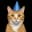 ConicCat