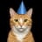 ConicCat