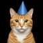 ConicCat