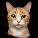MiraaW