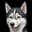 graydog0x