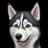 graydog0x provider