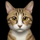 TigrulyaCat