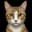 TigrulyaCat