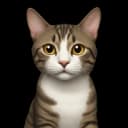 PennyL