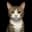 PennyL