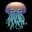 jellymonkey