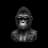 gorillaai provider