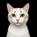 fangyili