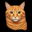 orangecatmma