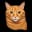orangecatmma