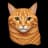 orangecatmma provider