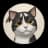 a2231698193 provider