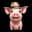 shawnxzhu