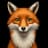 foxxar04 provider