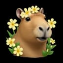 heckc