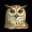 owl08299