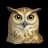 owl08299 provider