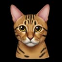 Bengalcat90