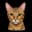 Bengalcat90