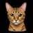 Bengalcat90 provider