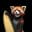 Surfin