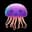 solrac88