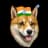 AnshumanMishra11