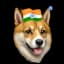 AnshumanMishra11