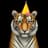 tomx19 provider
