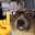 erlend123