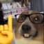 erlend123